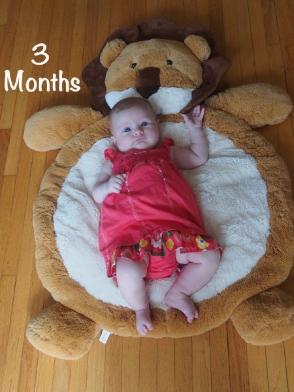 Stella 3 Months